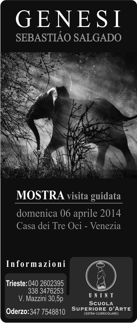 Sebastiao Salgado, Visite Guidate Mostre arte; Visite VisionArts, Scuola d'arte VisionArts Trieste, Arte a Trieste