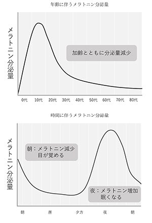 メラトニン分泌量のグラフ　上は加齢とともに分泌量が下がるグラフ。下は眠り始めに多く分泌されることを示すグラフ