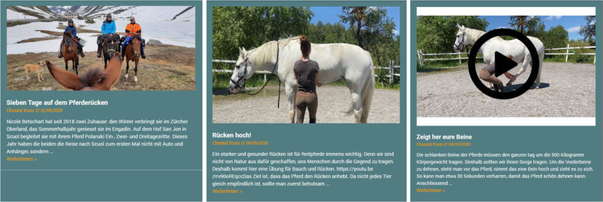 Breites Themenangebot und Interaktion: Onlinemagazin HORSEMAG. Bilder: www.horsemag.ch