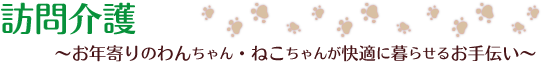 犬・猫の訪問介護‐ペットケアワンデイ泉北