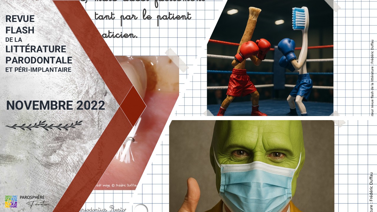 Revue flash PSF | Novembre 2022