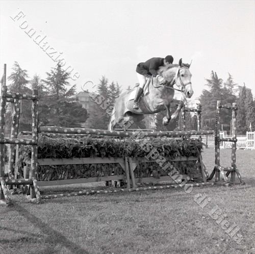 Concorso ippico allo stadio "Lamarmora", 1966 (Fondazione Cassa di Risparmio di Biella, archivio Lino Cremon)