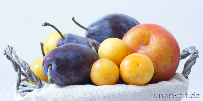Pflaumen, Sorten, Lagerung, Obst, Kernobst, Steinobst, Zwetschgen, Mirabellen, gesund, Inhaltsstoffe, Vitamine, Mineralstoffe, Ballaststoffe, Vitamin C, Kalium, Rezepte, Diät, dick, abnehmen, Basen, basenbildend, basenbildende Lebensmittel, Rosengewächs,