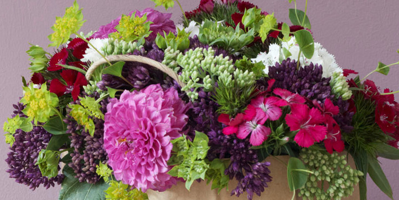 Dahlien, diy möbel, diy geschenke, diy ideen, do it yourself, do it yourself geschenke, diy nähen, diy deko, diy wohnideen, selber basteln, upcycling diy, geschenke zum selbermachen, geschenke selber basteln, geschenke selber machen, deko idee, dekoideen