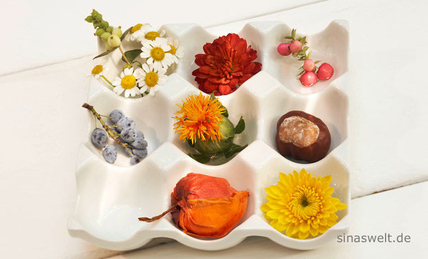 Kaminöfen, Kaminofen, Kamin, Herbst, Herbstdeko, Wohnideen, gemütlich, behaglich, warm, Energie, energiequelle, Heizung, Heizungskosten, kuschelig, knistern, Romantik, Feuer, Elektrokamin, Bio-Ethanol, Blumendeko, Herbststimmung, kreativ, DIY, do it yours
