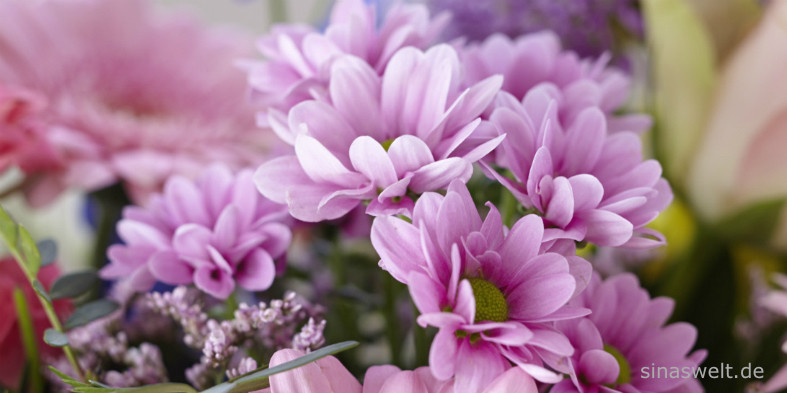 Ratgeber Wohnen So Halten Schnittblumen Frisch Tipps Von