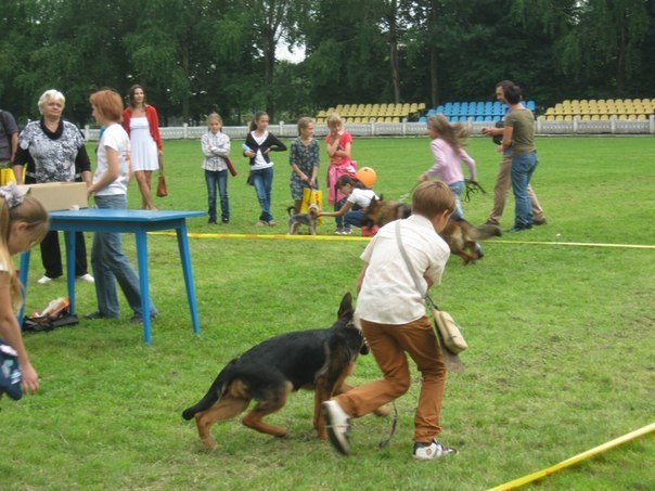 Рома и Грейси