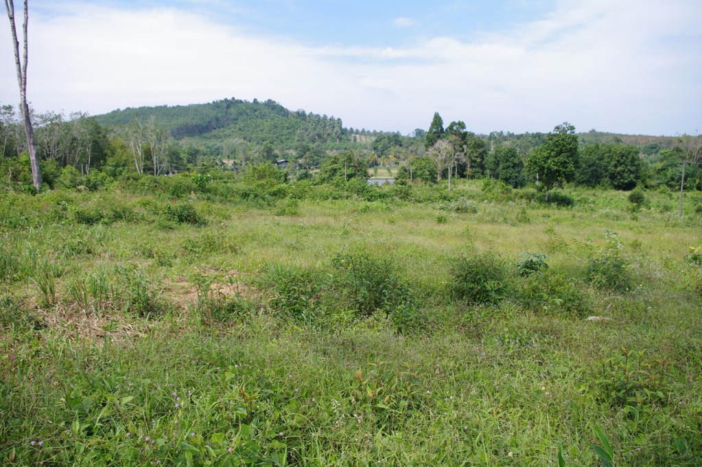 Land for sale near Khao Lak, Thailand.(10')