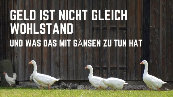 Geld ist nicht gleich Wohlstand