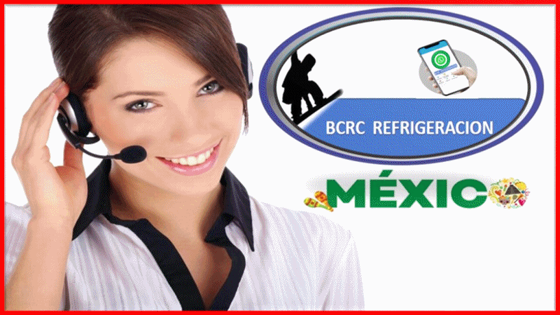 Contacto WhatsApp