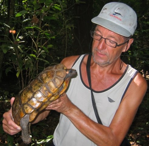 Tijdens een wandeling door het oerwoud vond iemand deze Savanneschildpad (Geochelone carbonaria). Deze vondst aan de Approuague rivier, zo'n 40 km stroomopwaaarts van Régina schijnt uitzonderlijk te zijn.