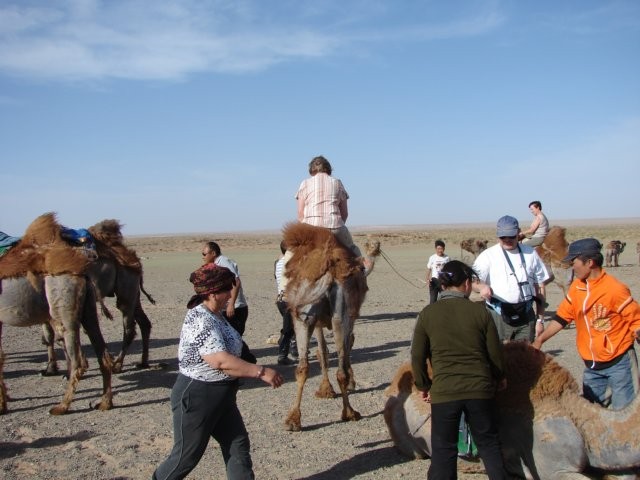 We gaan een ritje op een kameel doen. Voor toeristen worden er wel goede stijgbeugels voorzien, maar het zadel is heel eenvoudig. Je voelt de ruggewervels van de kameel dwars door het zadel heen. Zadelpijn krijgt plots weer een nieuwe betekenis.  ©Gerda S