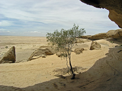 Am Vogelfederberg ca. 40 km vor Walvis Bay.