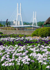 ときわ公園内の一風景