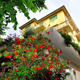 Hotel Sylvia - Via Paolo Manfredi, 15 - 55041 Lido di Camaiore (LU)