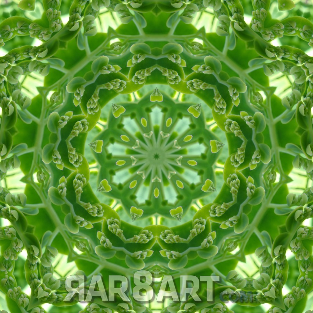 Mandala Grün 34