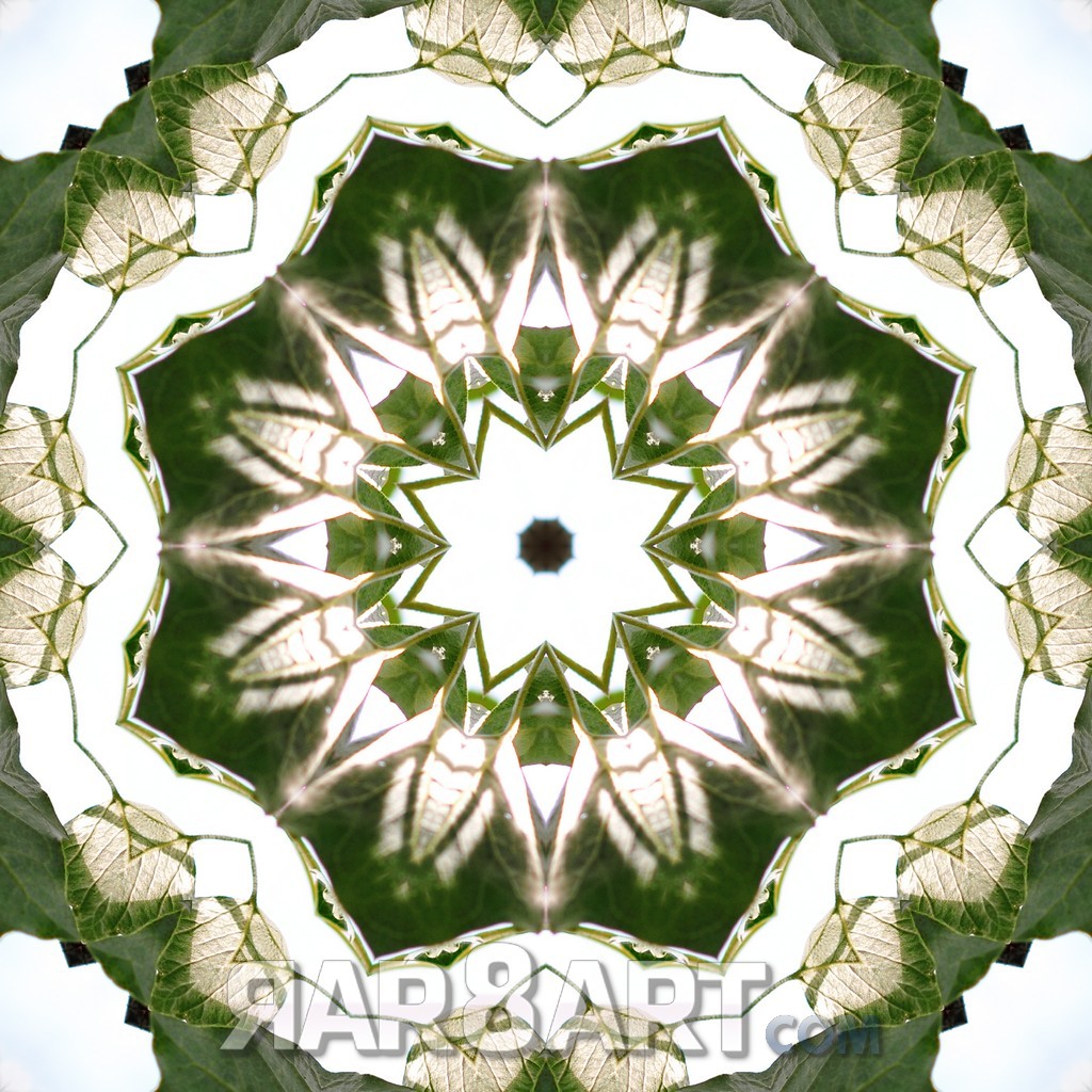 Mandala WP 09