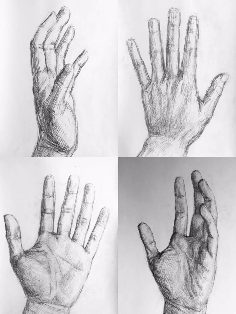 美大芸大受験·手のデッサン. 石膏デッサン. 油絵の人物像コース 美大芸大受験·手のデッサン. 石膏デッサン. 油絵の人物像コース