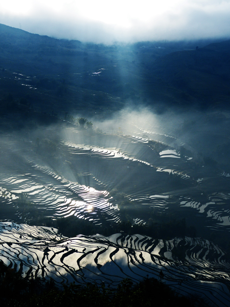 Sonnenstrahlen über Reisterrassenlandschaft in Yuanyang, China