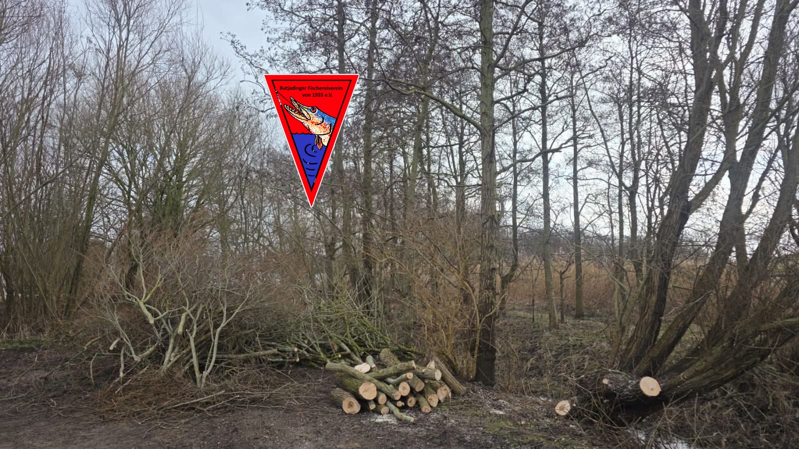 Baumschnittarbeiten an der Gemeindepütte Tossens
