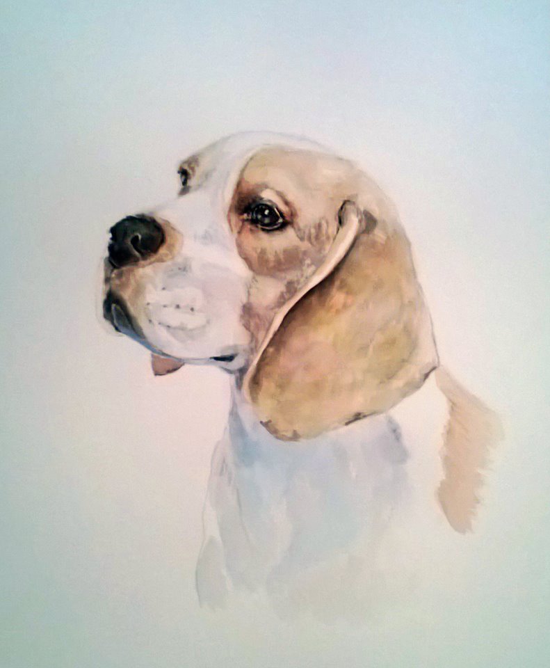 ELIXIR of Dogs ELIXIR. Quality Dog Grooming Products.