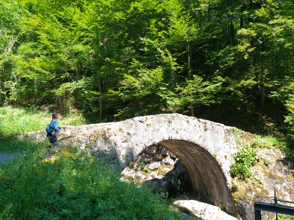 Sagenbrücke