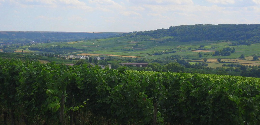 Blick nach/in/um Rheinhessen
