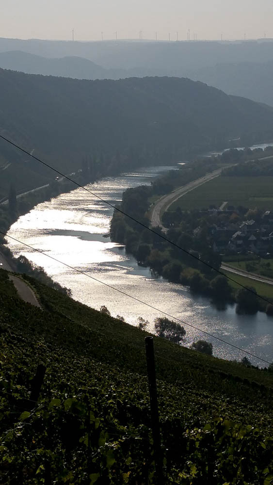 "Gold-Silber-Band" Mosel am Morgen. Herbsttag.