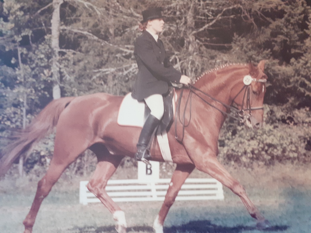 Arlette M Dressur 1995