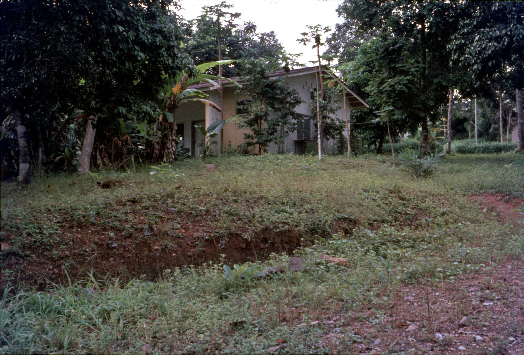 Liberia 30