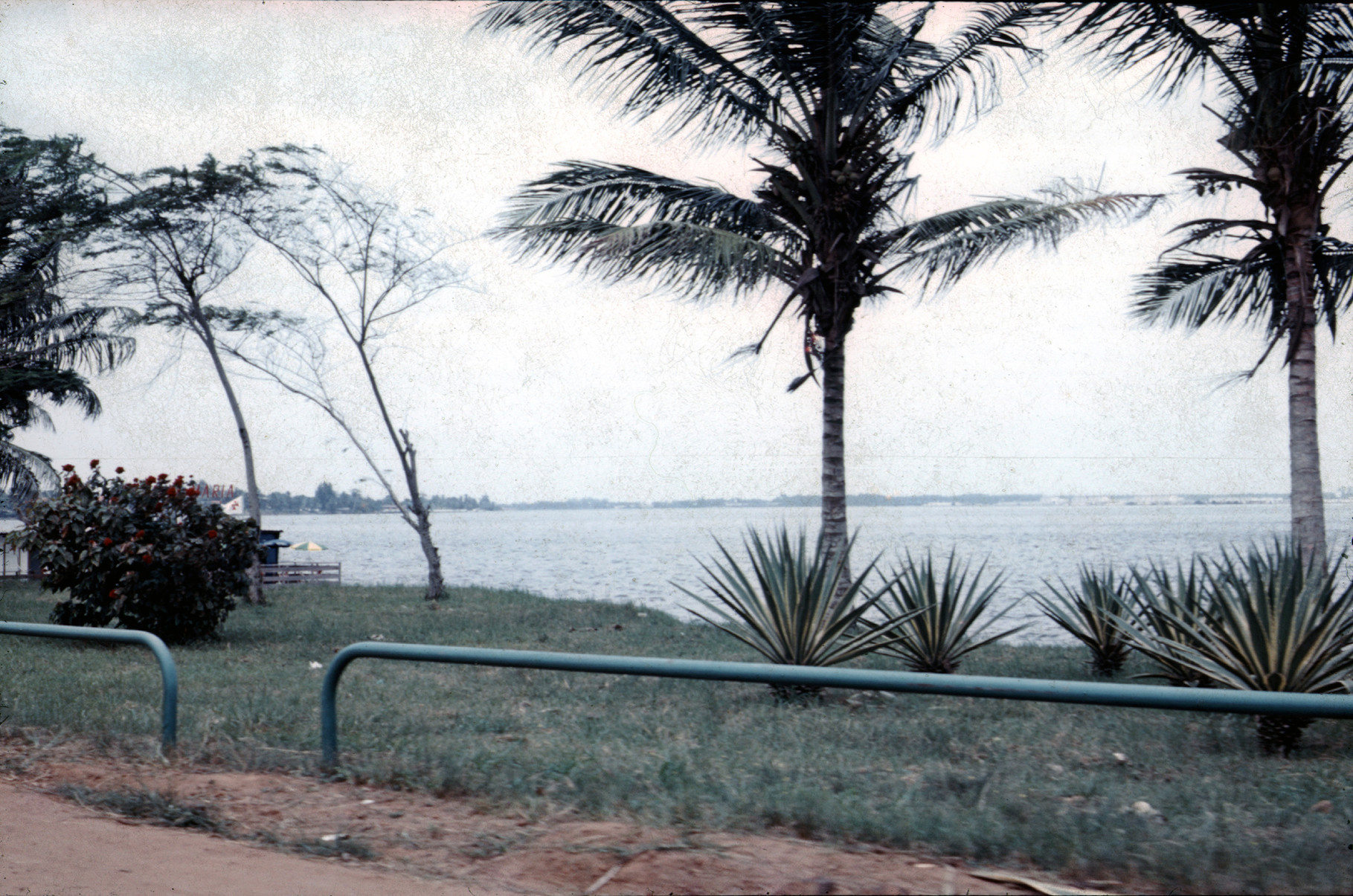 Ivory Coast 31