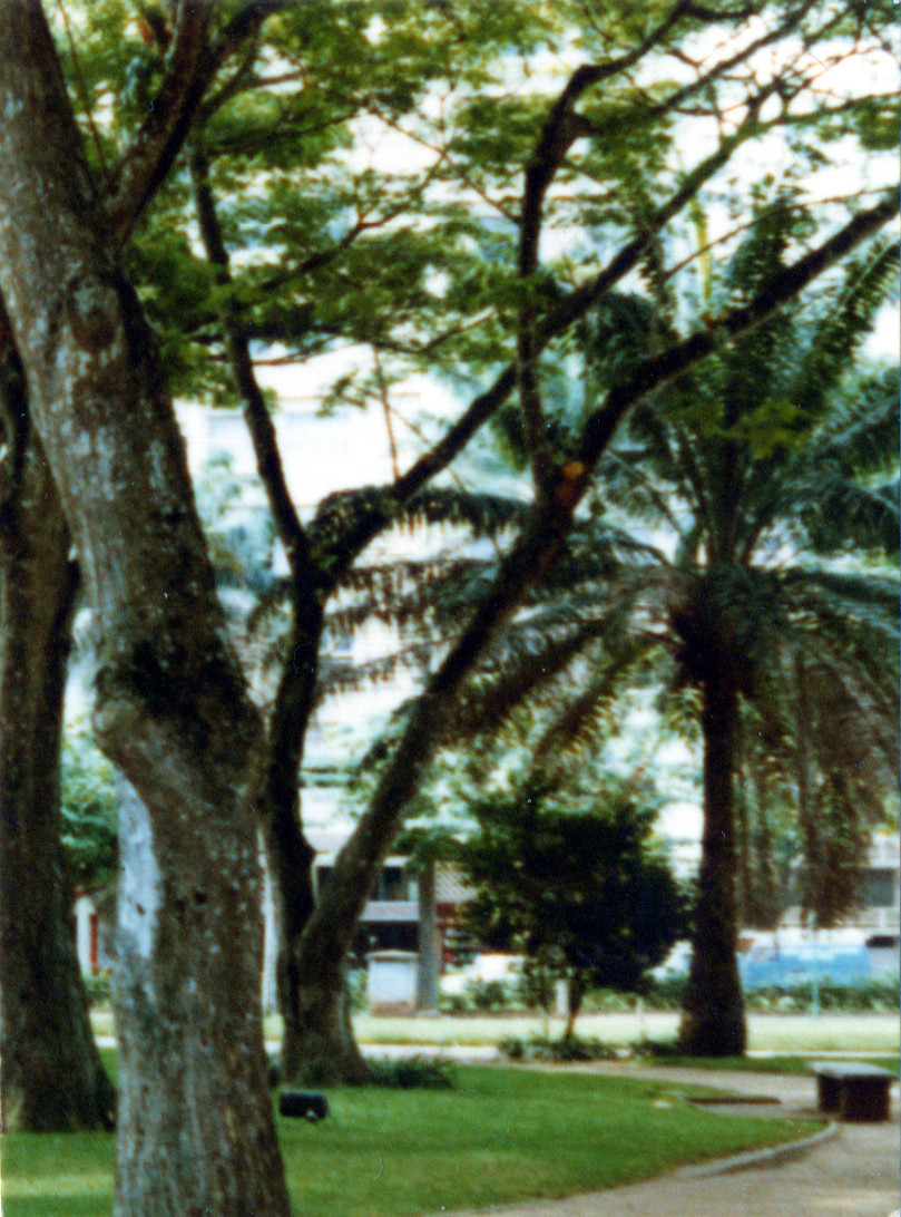Ivory Coast 40