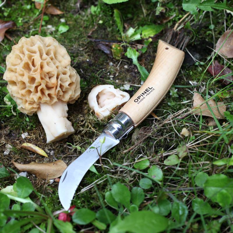 Opinel Champignon, Couteau Espace Nature Espalion.