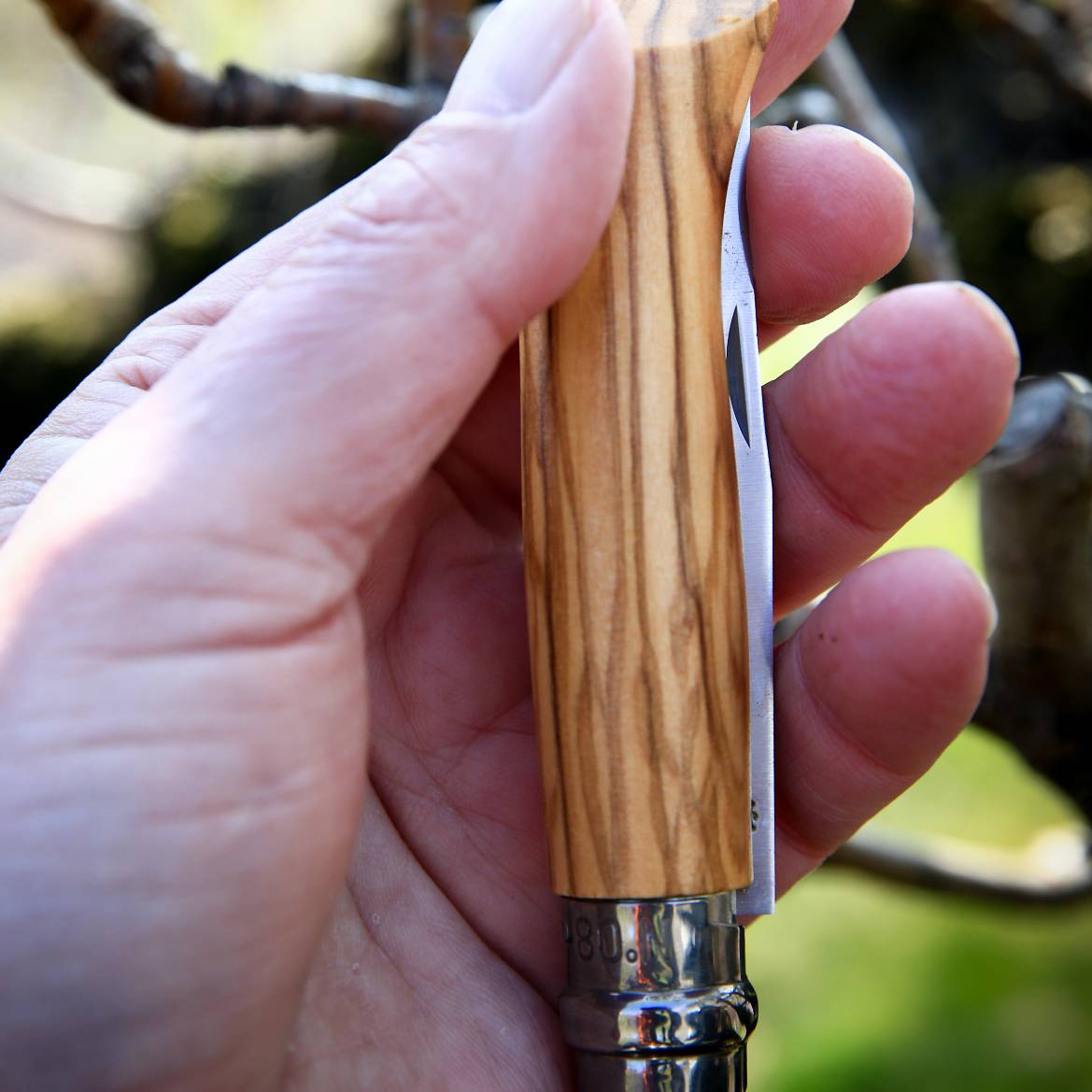 Opinel Olivier, Couteau Espace Nature Espalion.
