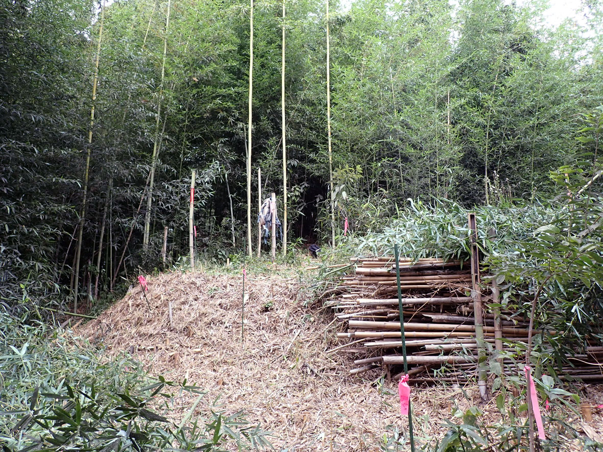 常盤山県有緑地