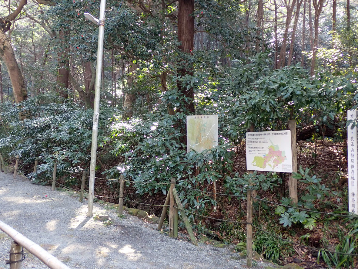 妙本寺