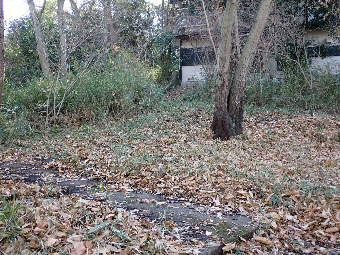 常盤山緑地