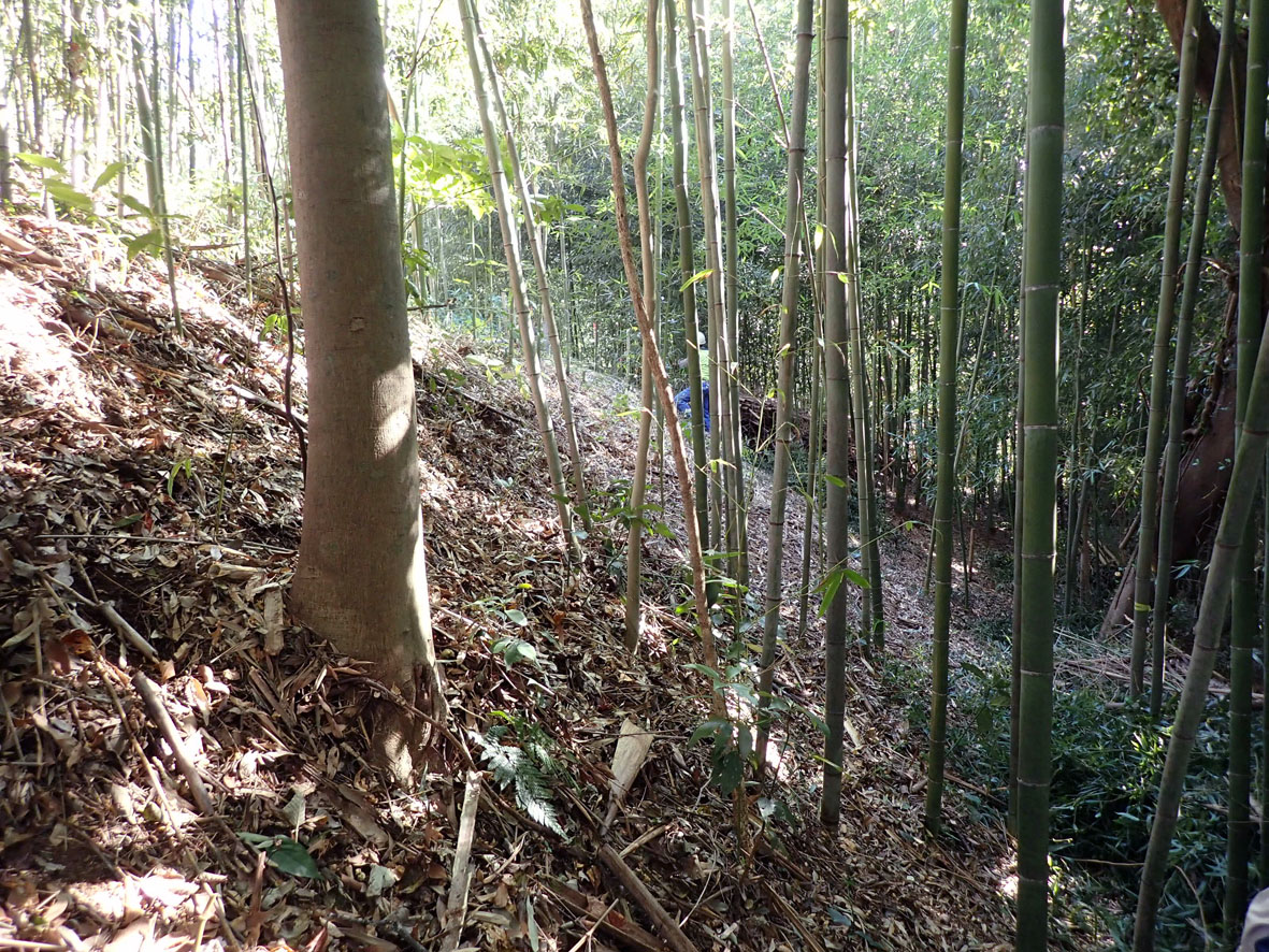 常盤山県有緑地