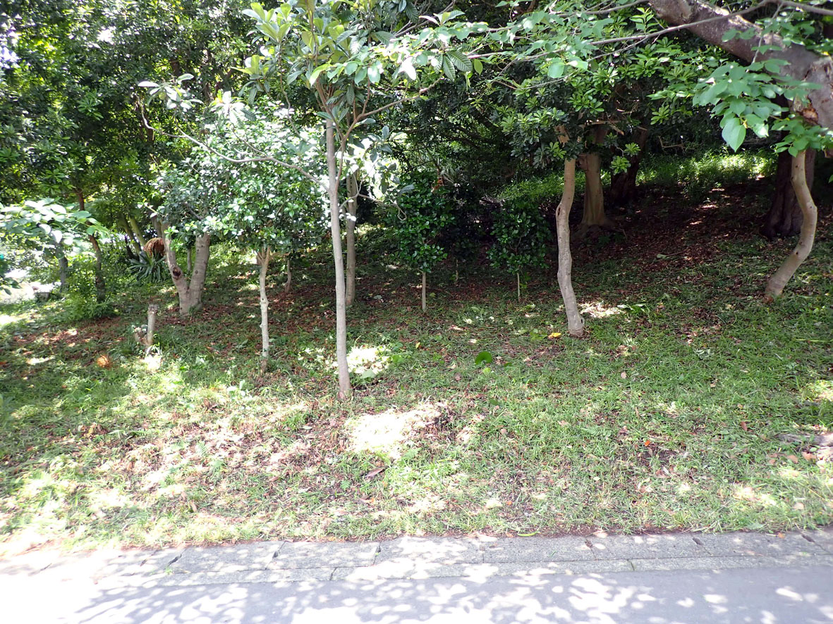 城山児童遊園
