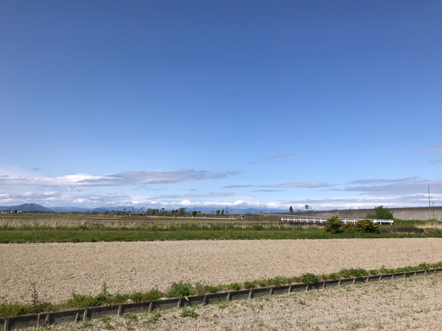 滋賀 湖西 ホームセンターのあたり
