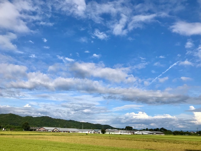 ２日　スーパーマーケットへの途中