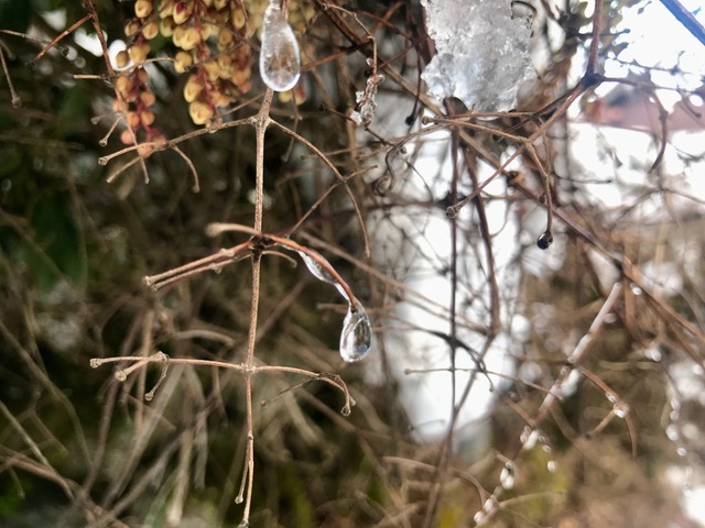 凍った滴りの氷