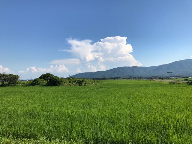 24日 午後 買い物の帰り道