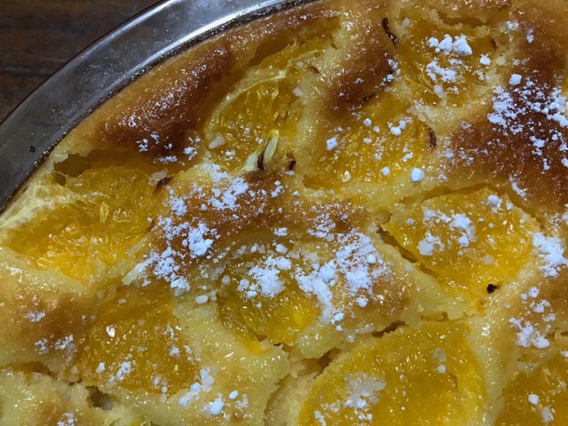 ヨーグルトケーキ 八朔