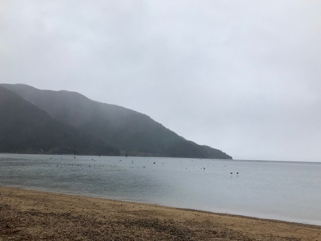 琵琶湖 マキノ