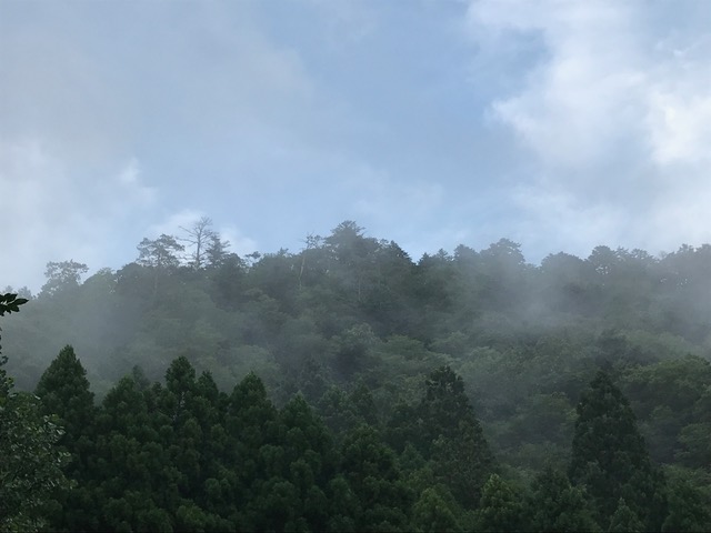16日 雨あがり