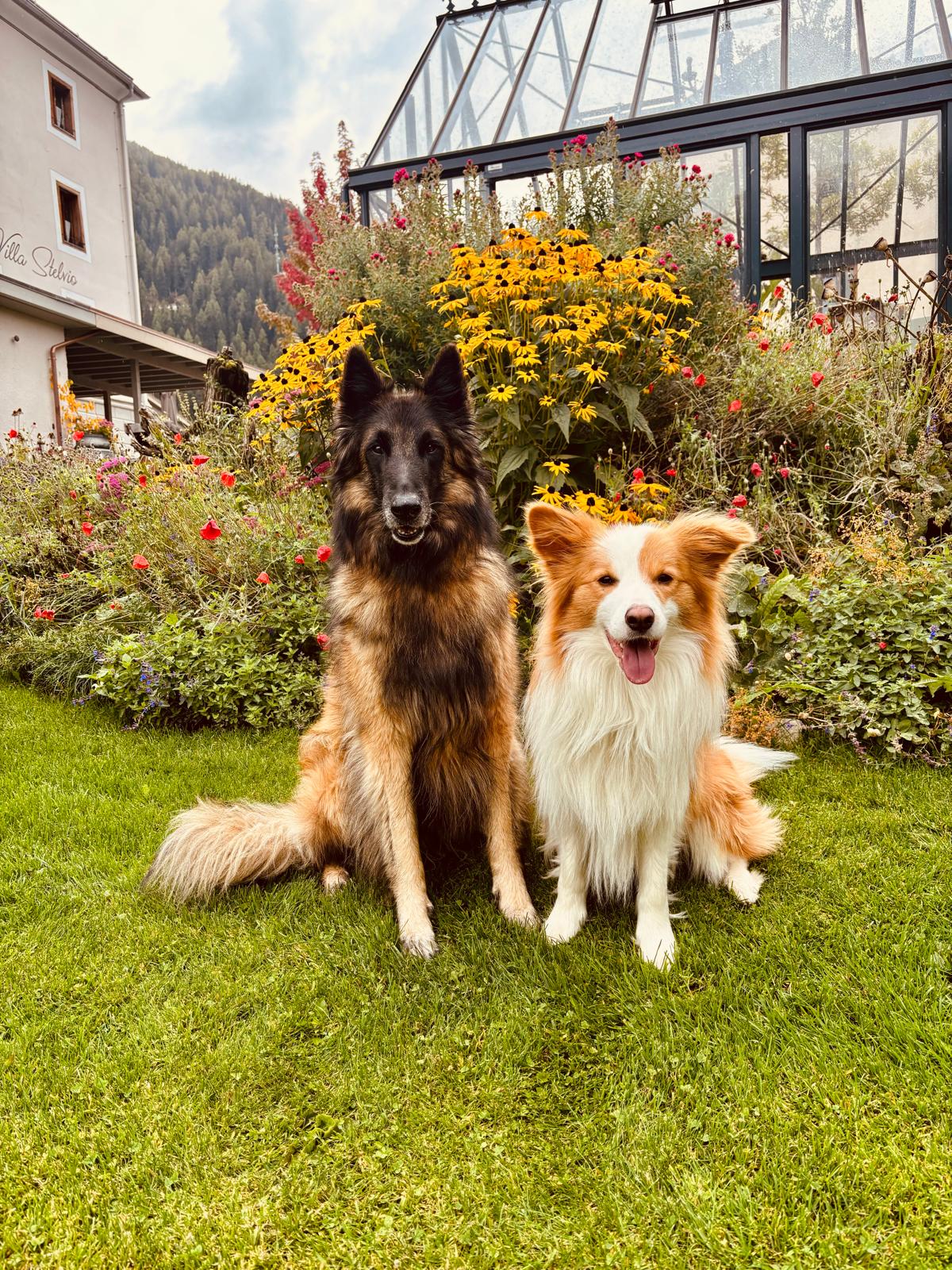 Olany + Timo