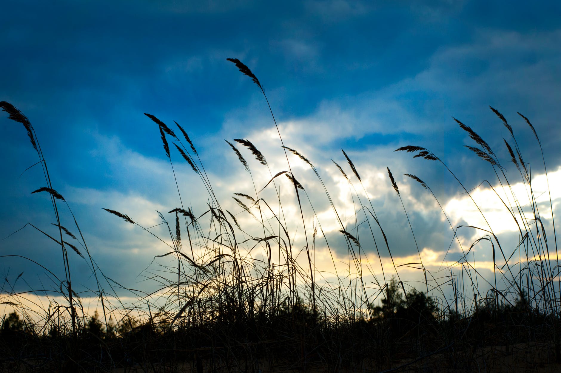 Wind Clipart
