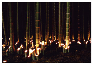竹灯かりのイベント