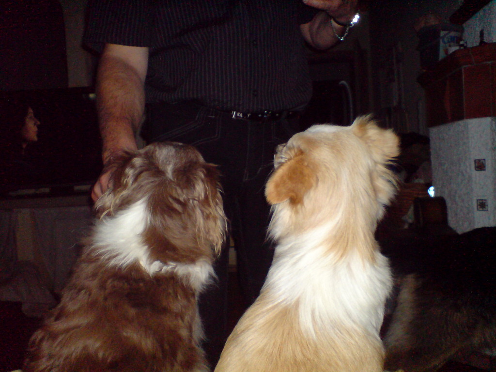Frau und Mann,Tilly und Jonny